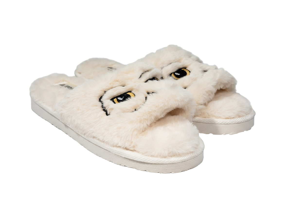 freepik__remove-backgrund-from-this-image-enhance-the-pictu__92148